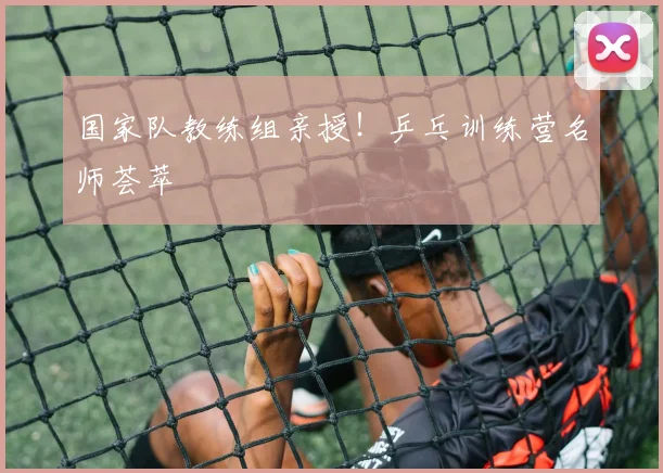 国家队教练组亲授！乒乓训练营名师荟萃