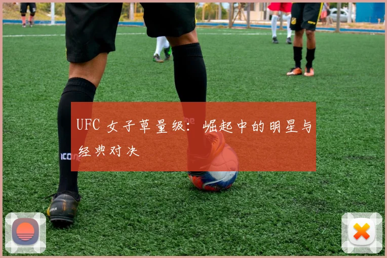 UFC 女子草量级:崛起中的明星与经典对决