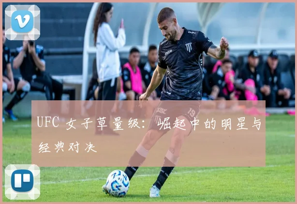 UFC 女子草量级：崛起中的明星与经典对决